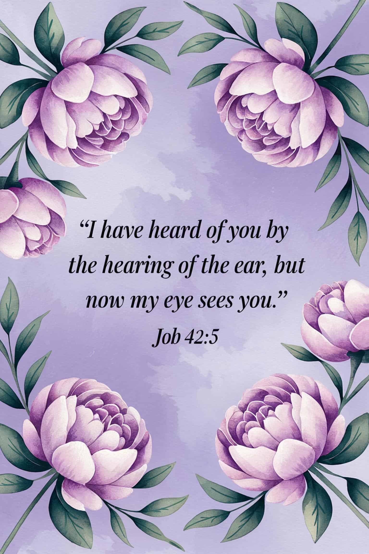 An open Bible displaying the Book of Job scripture_5