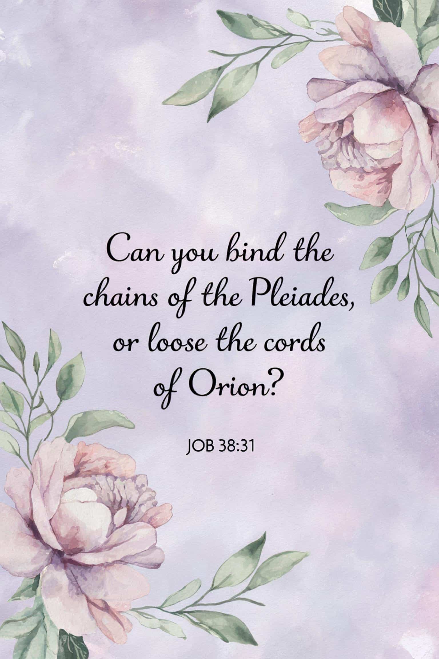 Image of well-worn Bible open to a passage in Job_6