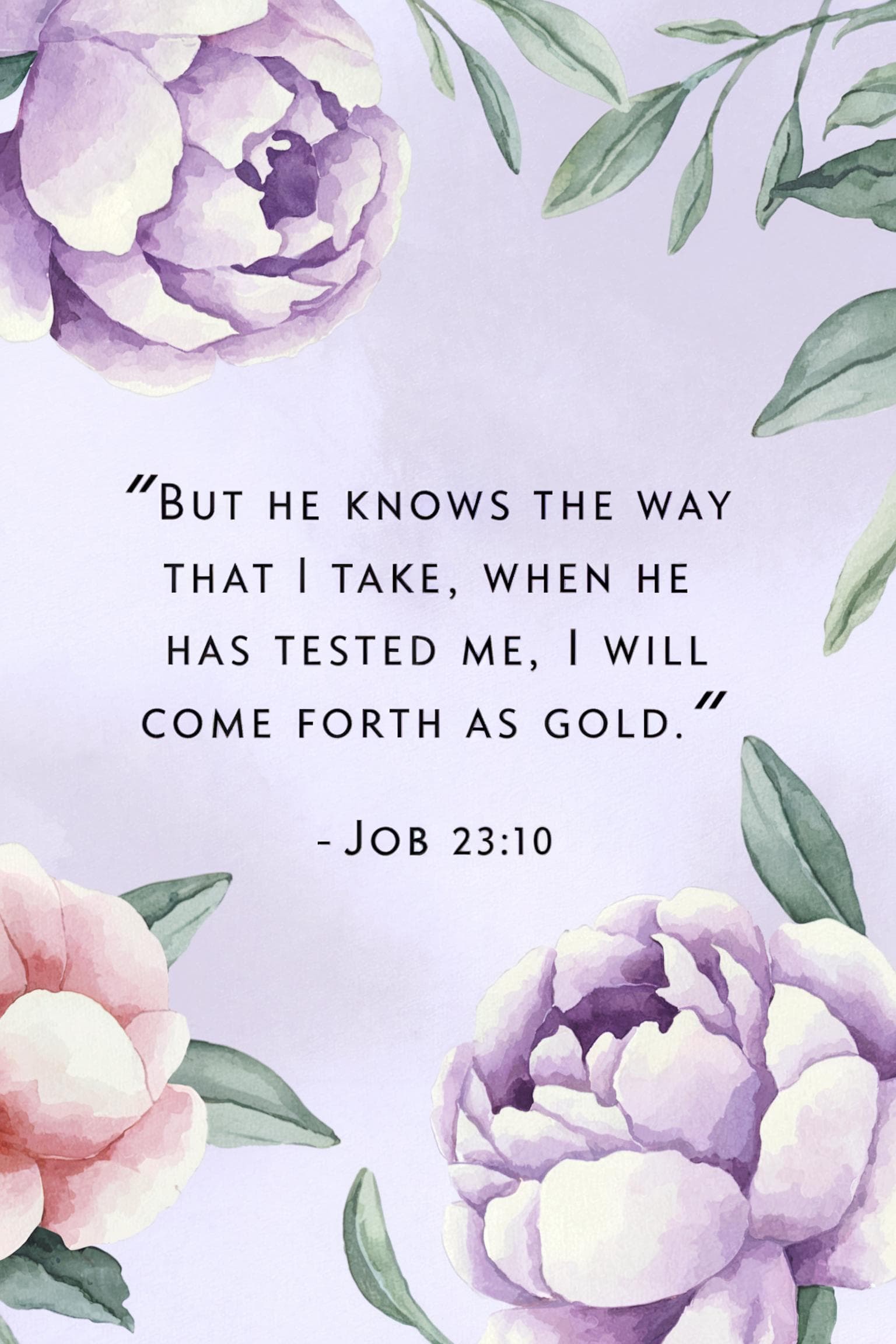 An open Bible showing quotes from the Book of Job_8